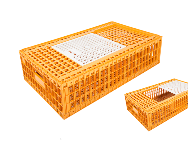 S-HCK-9550 - Plastik Kasa